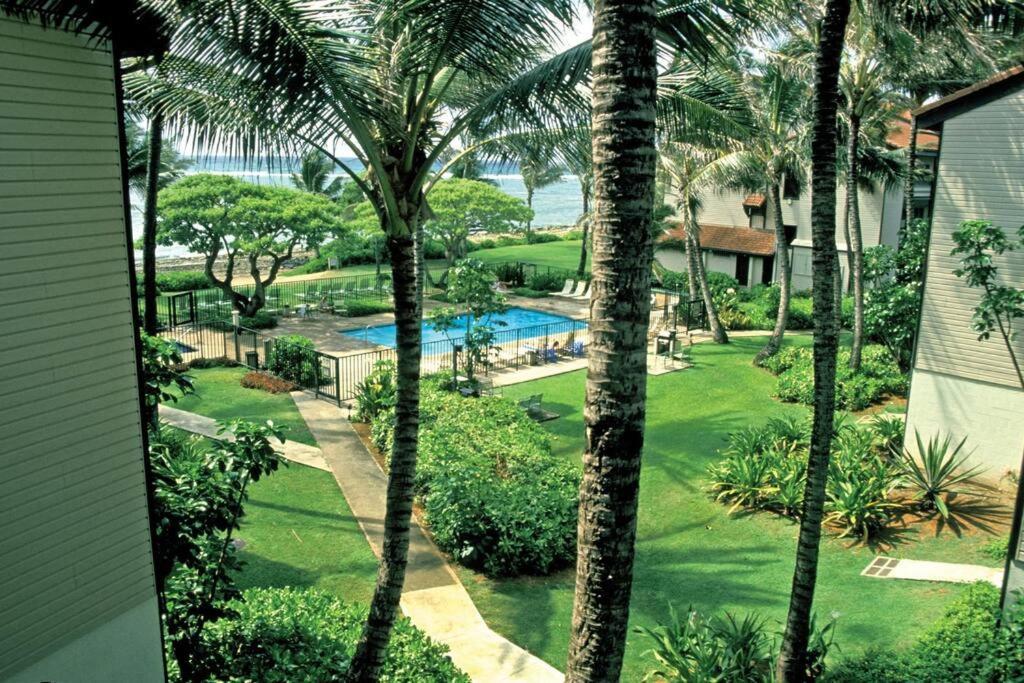 1Br Condo At Oceanfront Resort Kapaa Shore Kapa'a Eksteriør billede